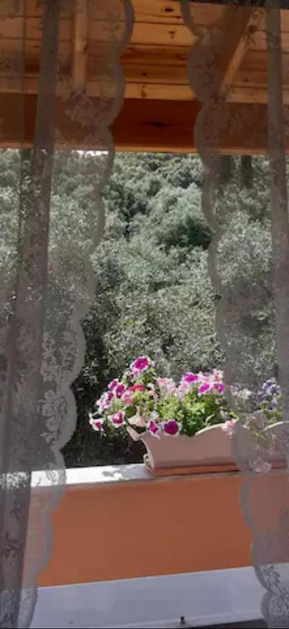 Armonia Apartments Corfu  المظهر الخارجي الصورة