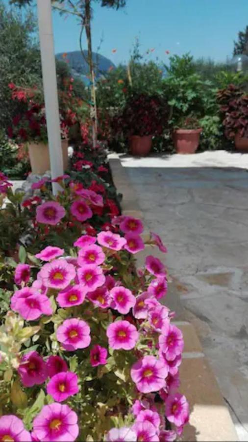 Armonia Apartments Corfu  المظهر الخارجي الصورة